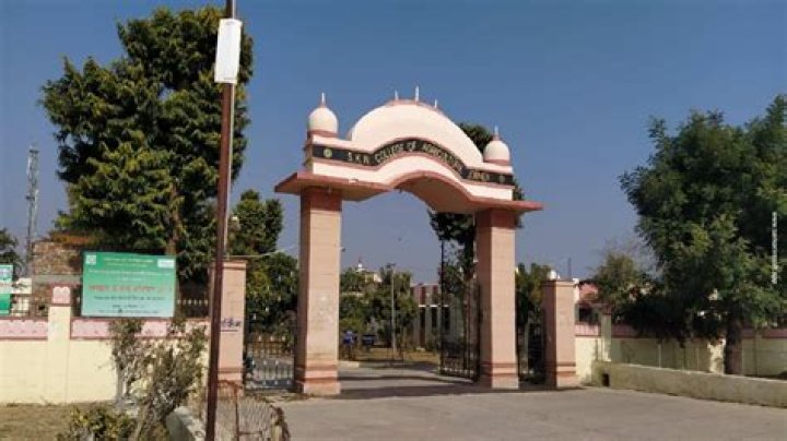 Sam Ryder Net Worth: Details About Singing, Age, Home, Income, Career - SarkariResult