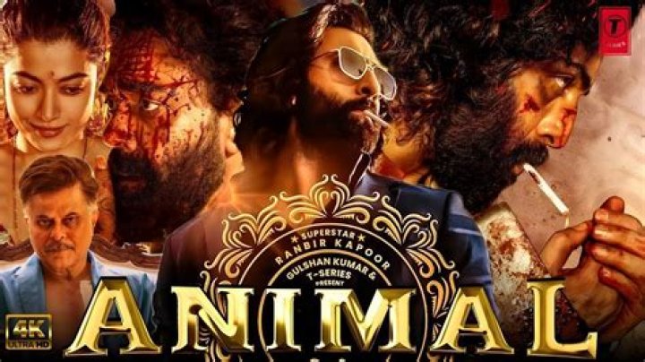 Sequel Of Ranbir Kapoor's 'Animal' Officially Announced - SarkariResult
