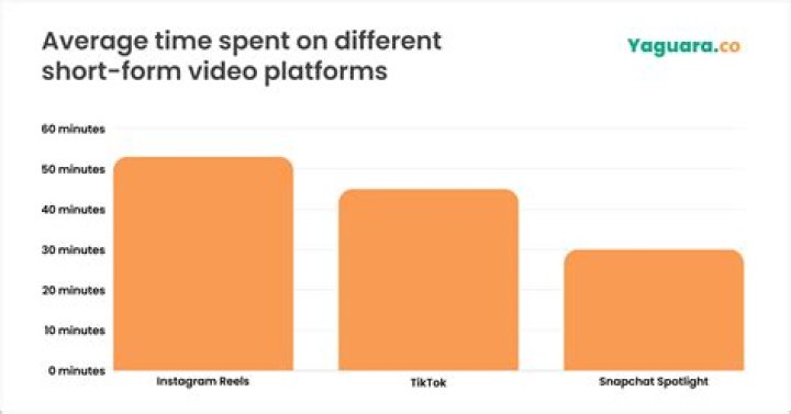 SmallAnt video statistics