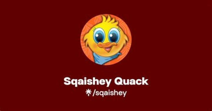 Sqaishey Quack Youtuber overview
